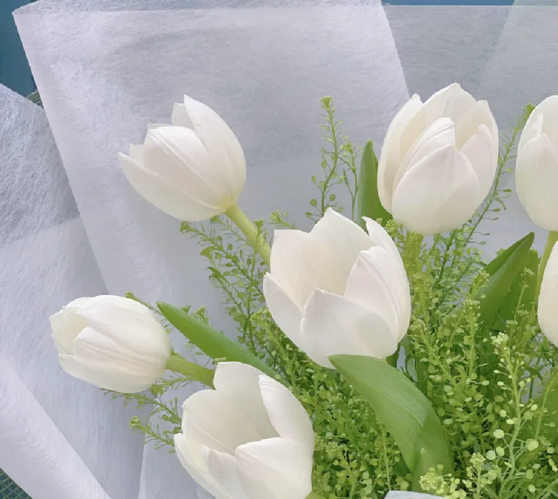 Ý nghĩa hoa tulip trắng trong tình yêu