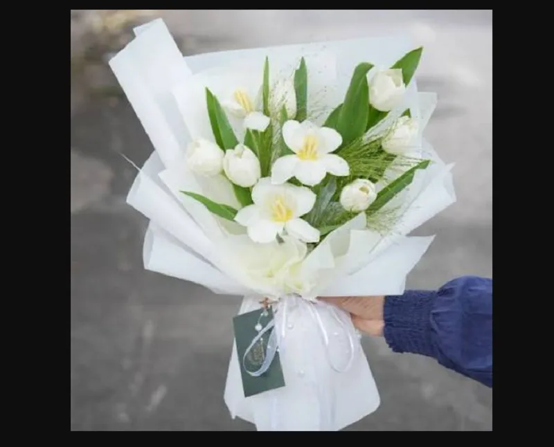 Gợi ý cách phối hoa tulip trắng đẹp và ý nghĩa