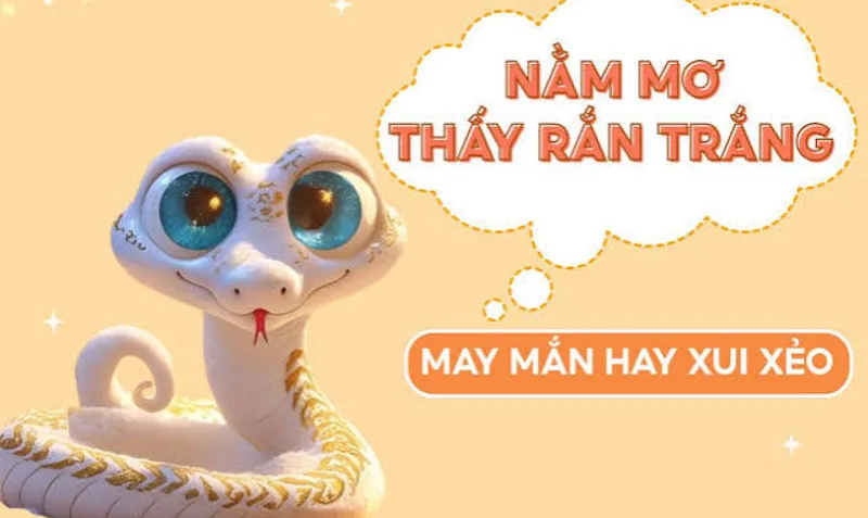 Giải mã giấc mơ thấy rắn màu trắng theo từng trường hợp