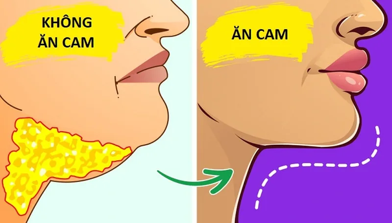 Ăn cam có những lợi ích gì cho sức khỏe?
